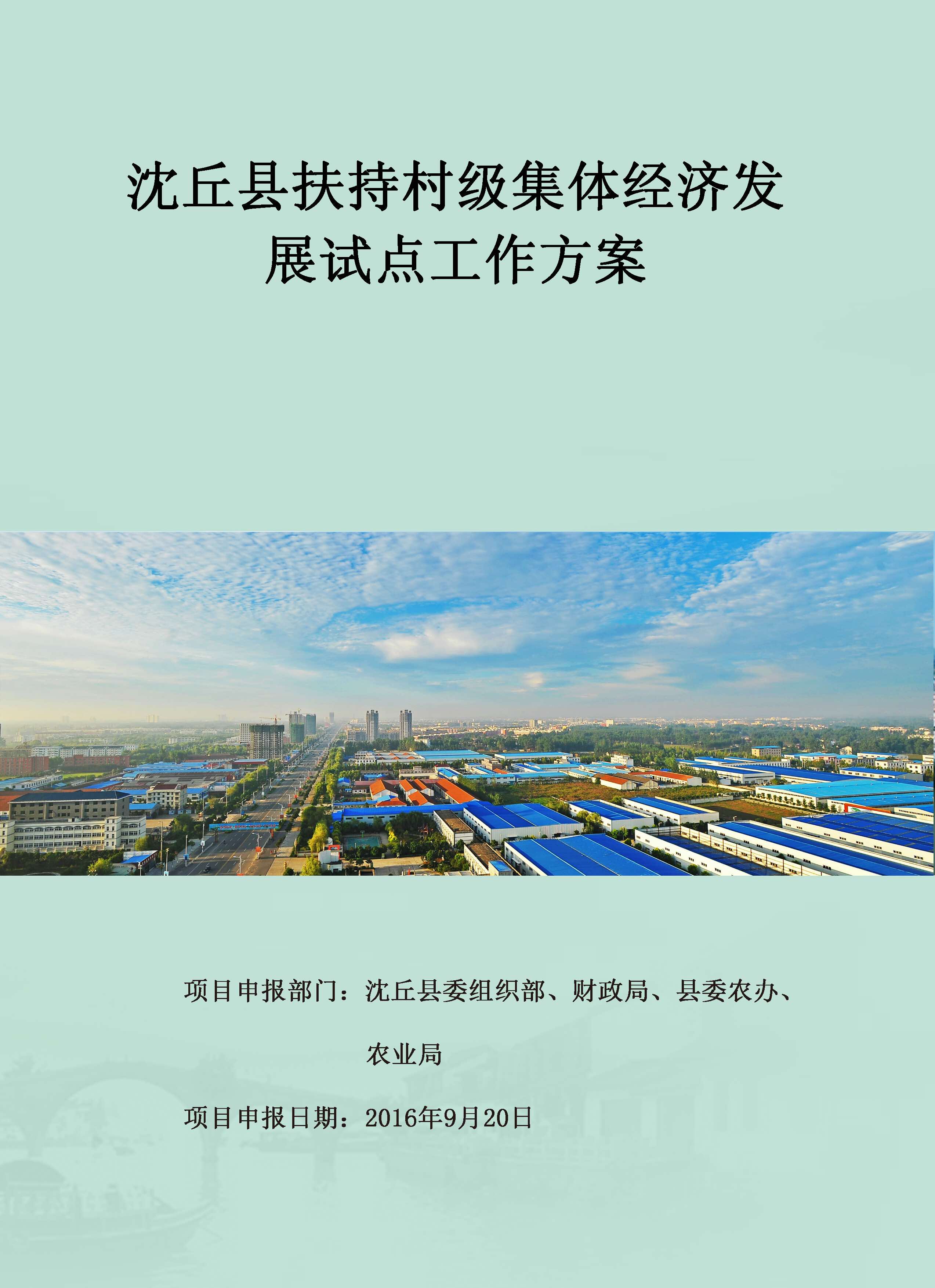 沈丘县扶持村级集体经济发展试点工作方案企业形象