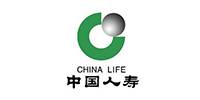 中国人寿保险股份有限公司郑州市分公司精英六部申经理